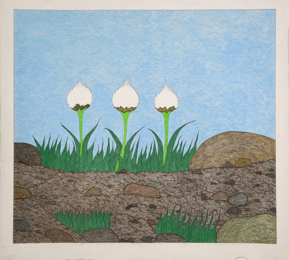 Cape Dorset Original Drawings